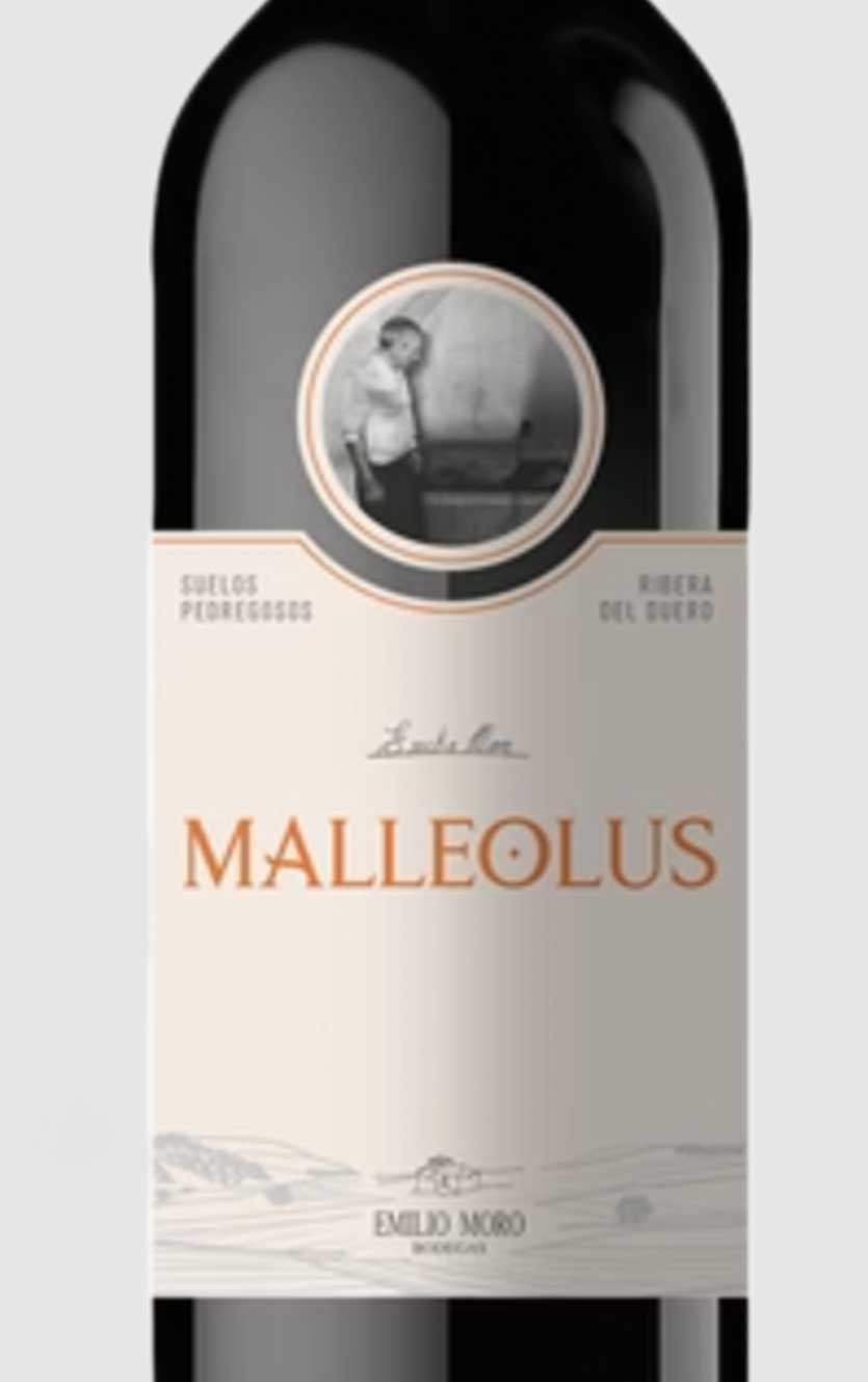 2022 Malleolus Ribera del Duero - DH Wines