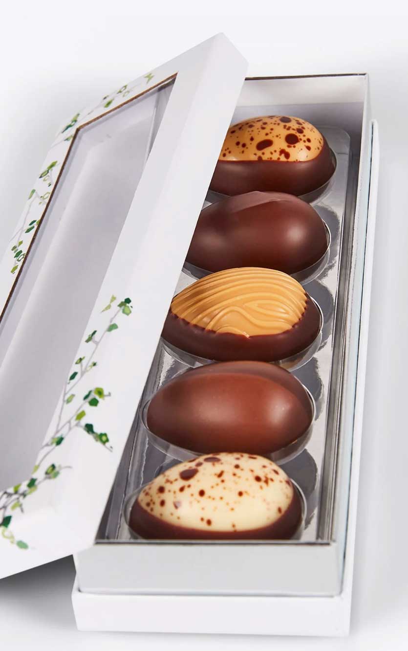 Summerbird - 5 Classic Eggs