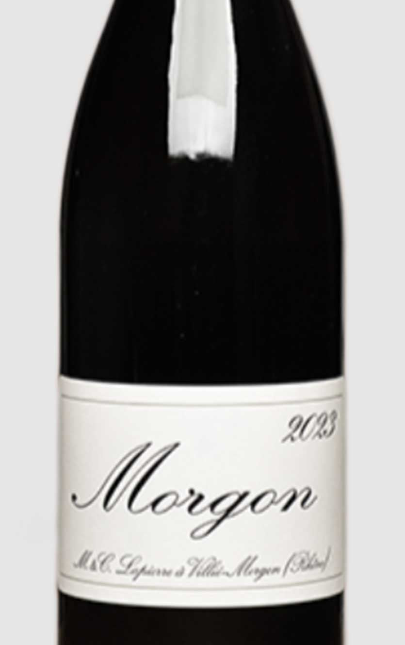 Morgon M. & C. Lapierre 2023