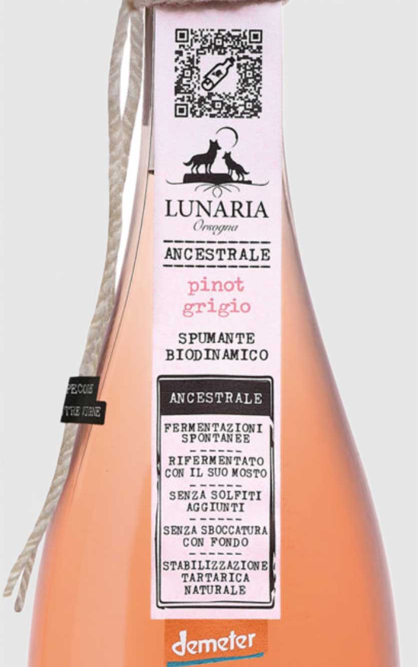 Pet Nat Brut Nature Lunaria Pinot Grigio Ancestrale Spumante Cantine Orsogna Abruzzo ØKO 2025