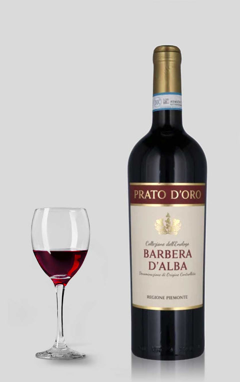 Prato D’oro Barbera D´alba DOC 2024
