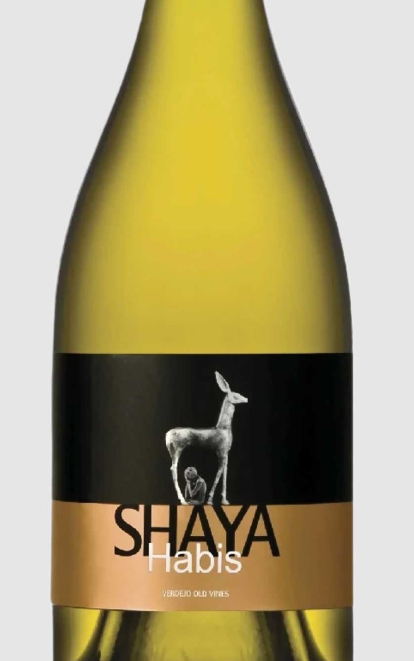 Shaya `Habis` 2019