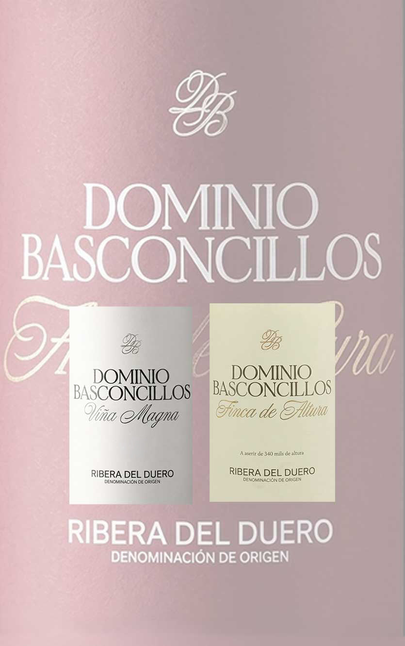 Smagekasse med Dominio Basconcillos – 6 Flasker - 3 forskellige