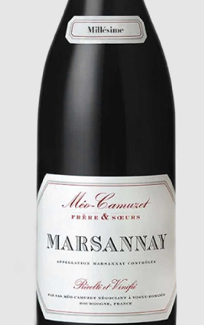 Domaine Méo - Camuzet Marsannay 2022 - DH Wines