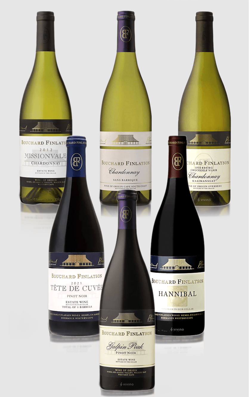 Smagekasse Bouchard Finlayson rød og hvid 6 flasker - DH Wines