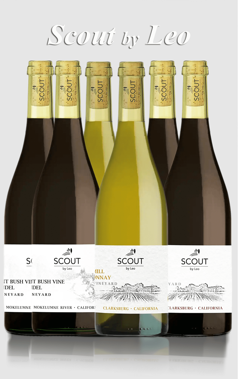 Smagekasse med 2x3 forskellige Scout by Leo vine - 6 flasker