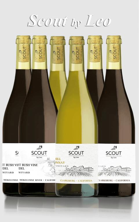 Smagekasse med 2x3 forskellige Scout by Leo vine - 6 flasker