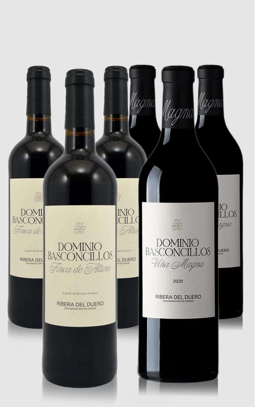 Smagekasse med Dominio Basconcillos – 6 Flasker - 2 forskellige