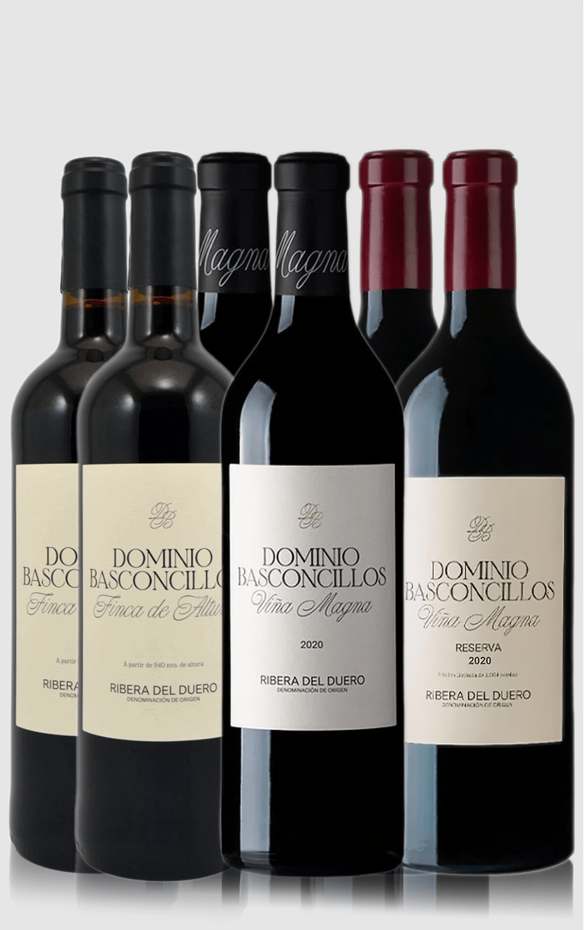 Smagekasse med Dominio Basconcillos - 6 flasker - 3 forskellige