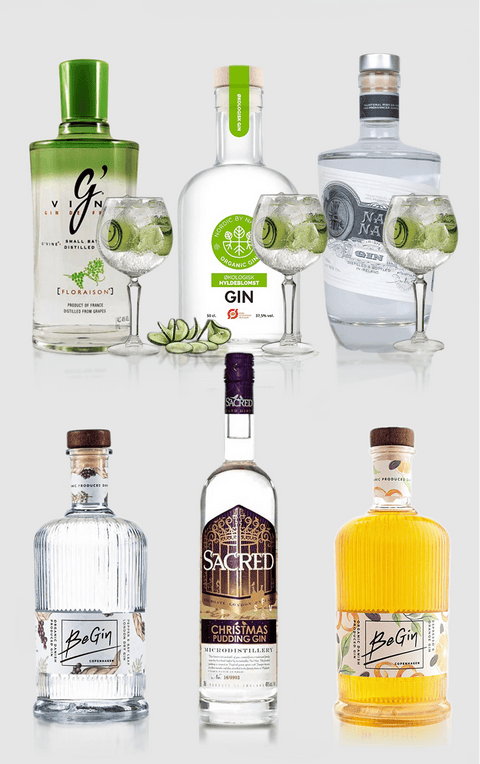 Smagekasse med forskellige gin - 6 flasker