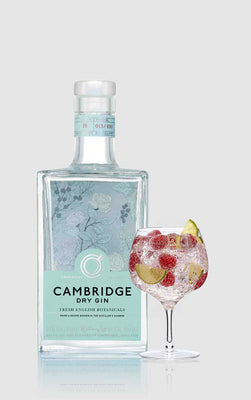 Gin