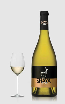 Vivino 4+