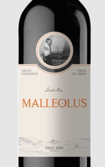 2022 Malleolus Ribera del Duero