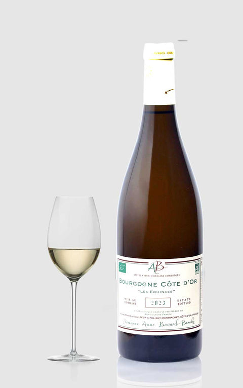 Burgundy Côte d'Or white "Les Equinces" 2023