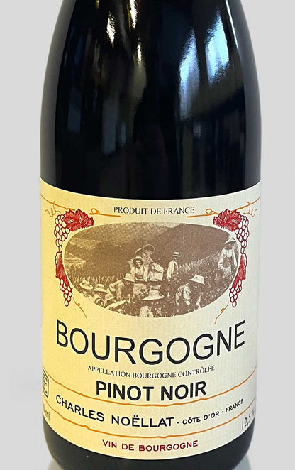 Bourgogne Pinot Noir 2001 Domaine Charles Noëllat
