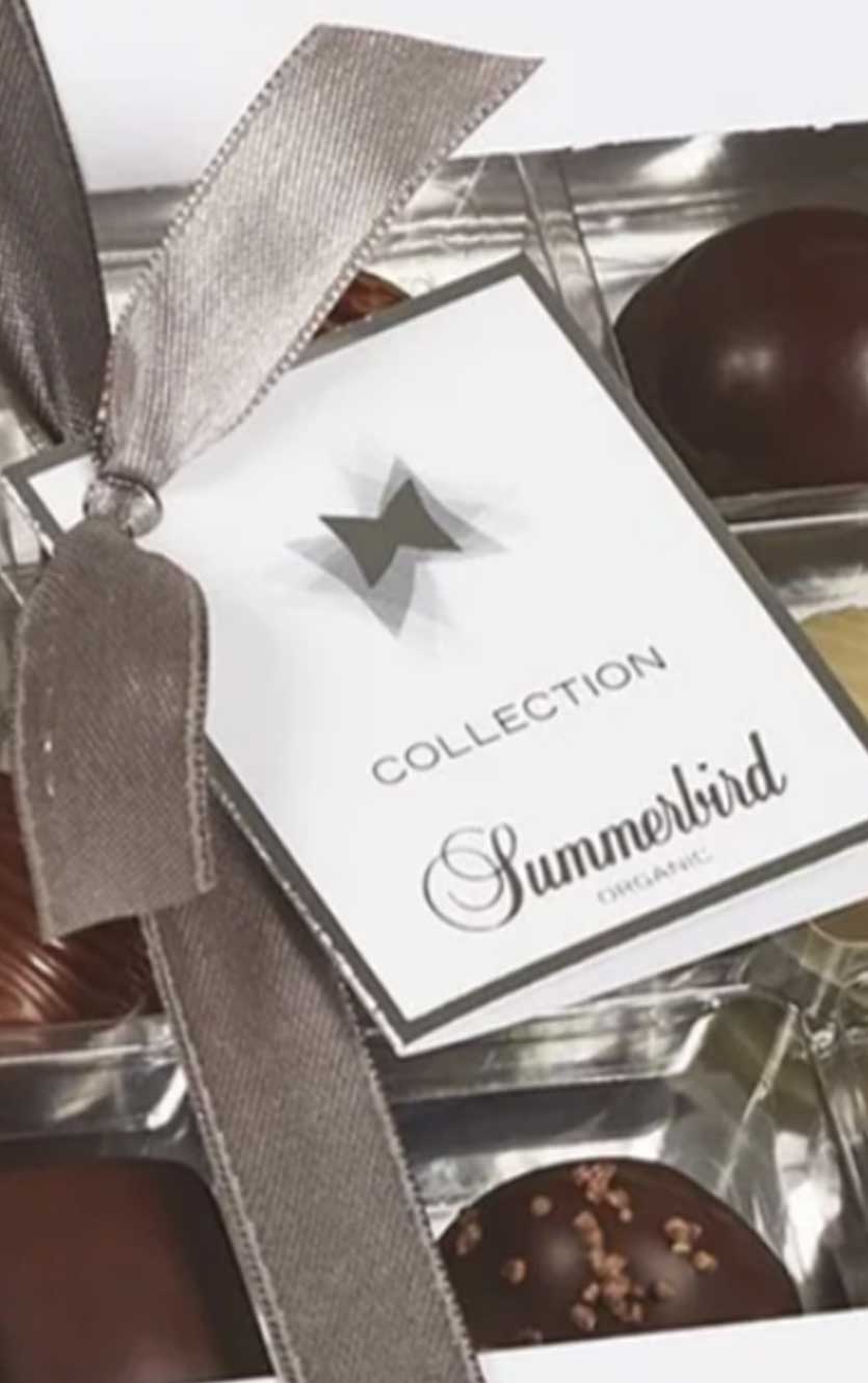 Summerbird - Collection 18
