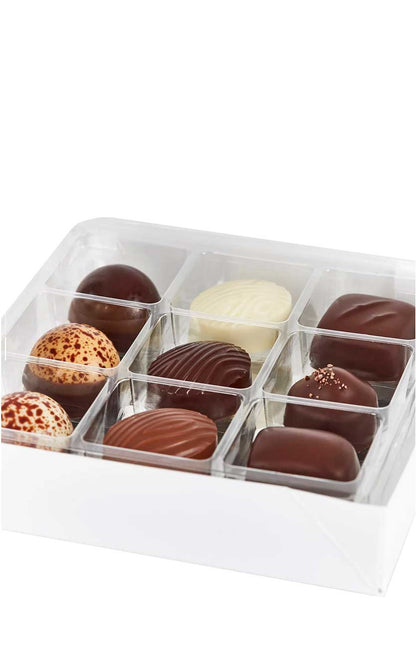 Summerbird - Collection 9