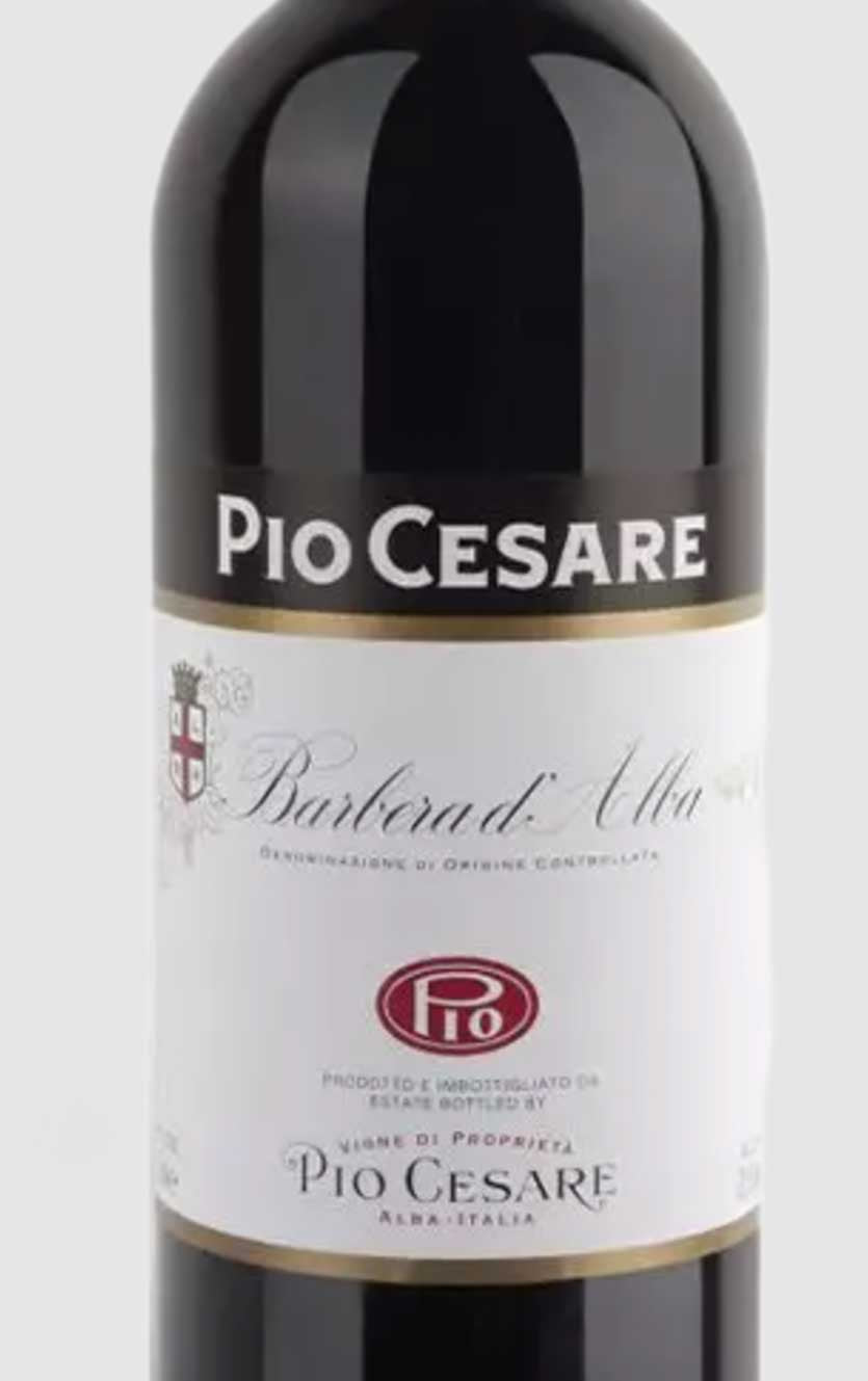 Pio Cesare Barbera d'Alba 2023
