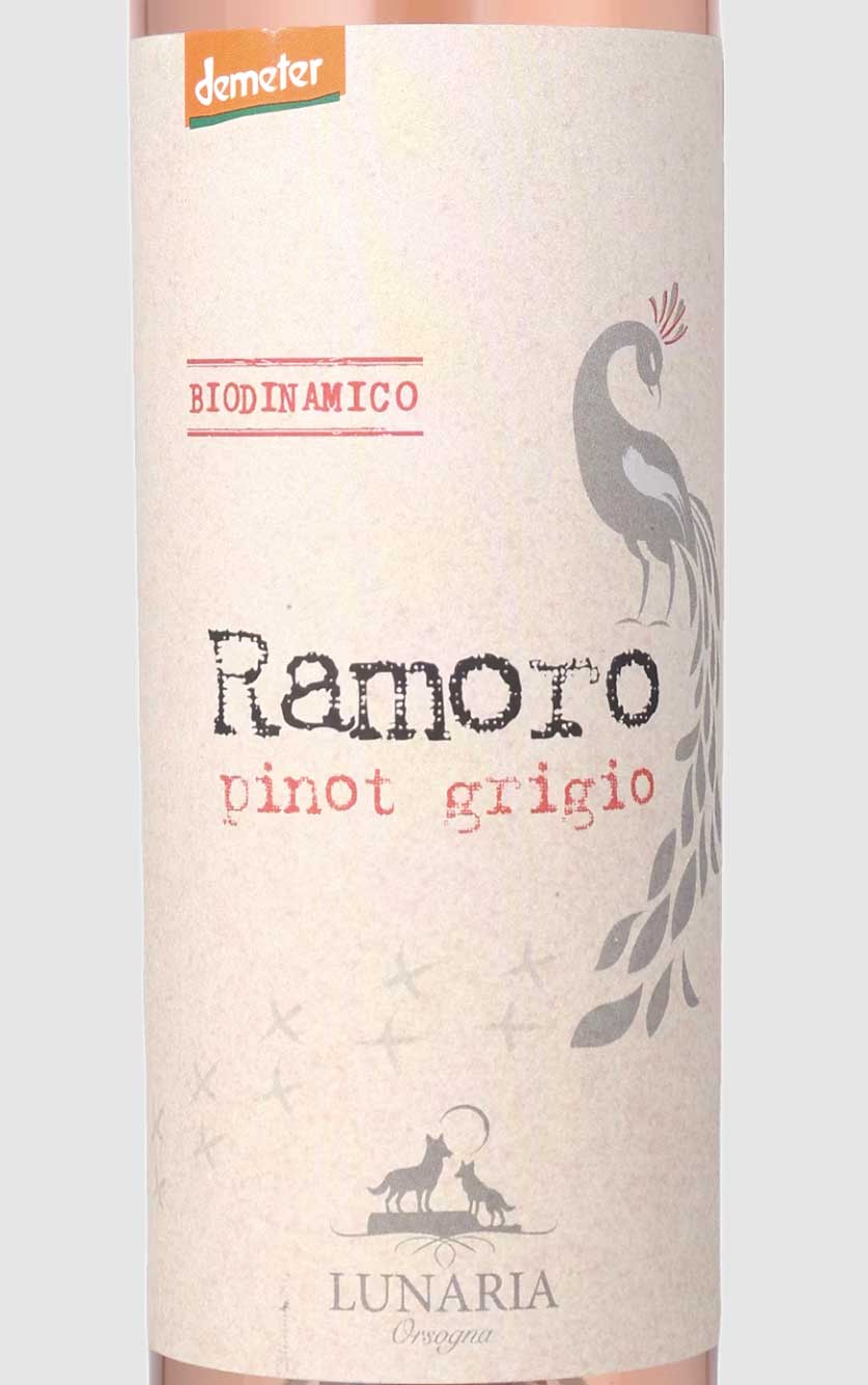 Ramoro Pinot Grigio BIO ORANGEVIN Terre d'Abruzzo IGP 2024