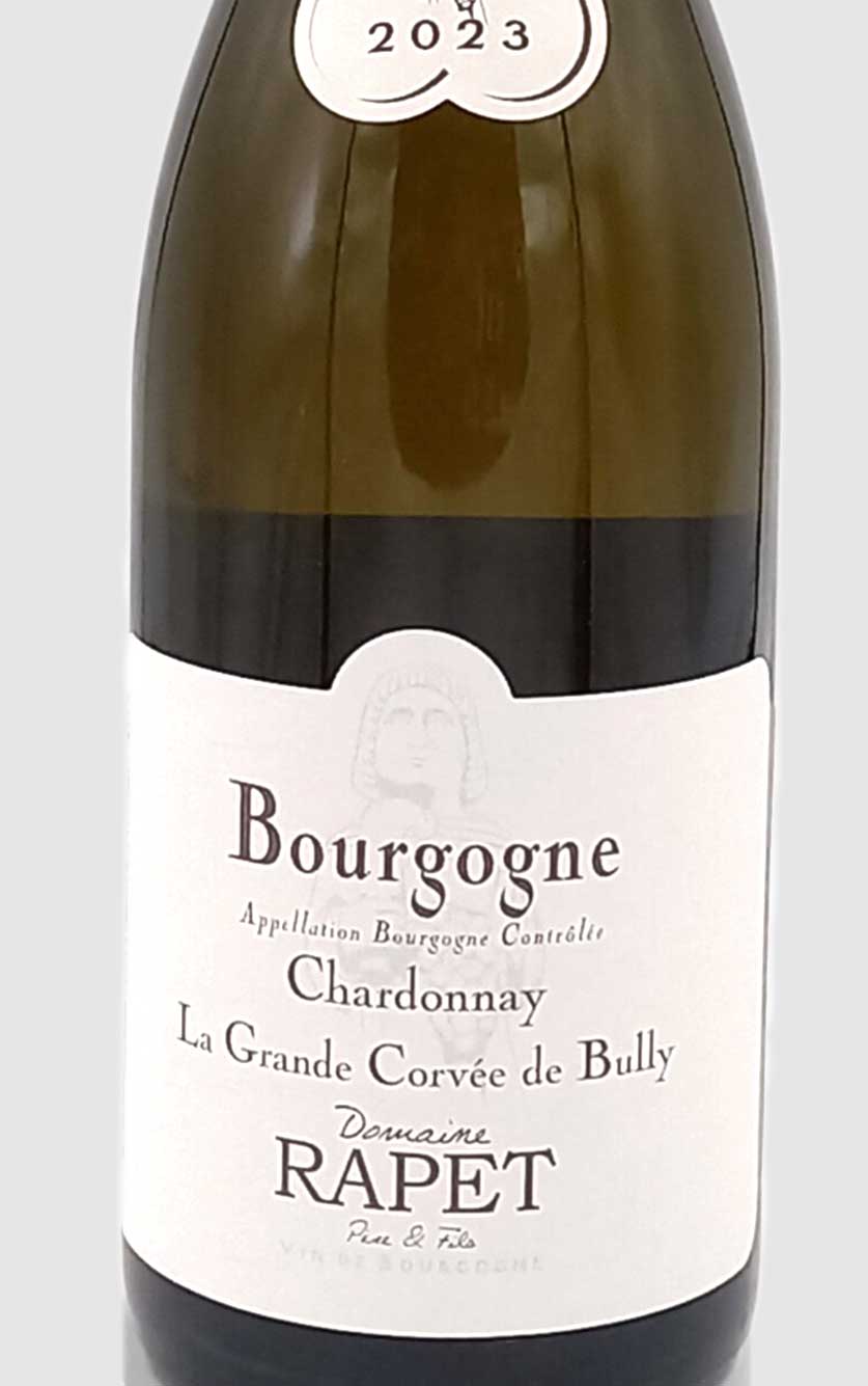 Domaine Rapet Père et Fils Rapet Bourgogne Blanc 2023
