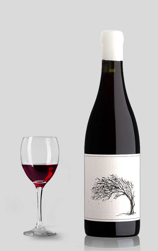 Savage The Girl Next Door Syrah 2024