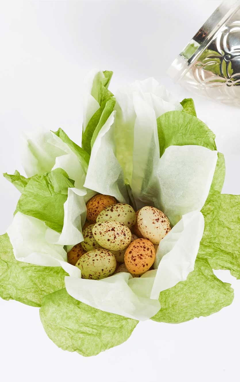 Summerbird - Silver Egg Classic