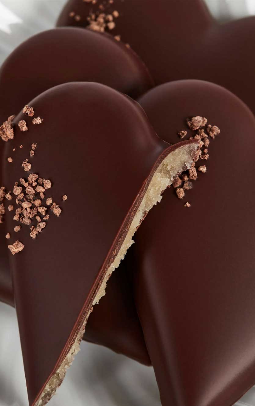 Summerbird - Winter Hearts