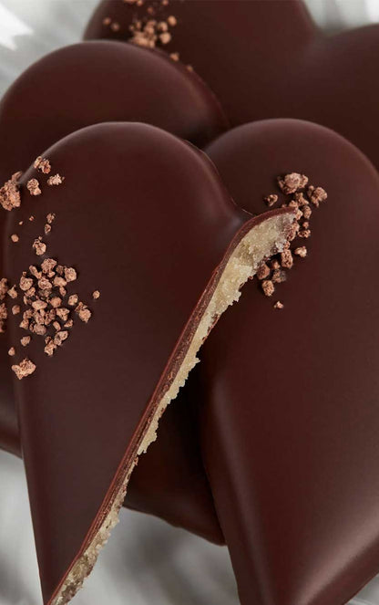 Summerbird - Winter Hearts