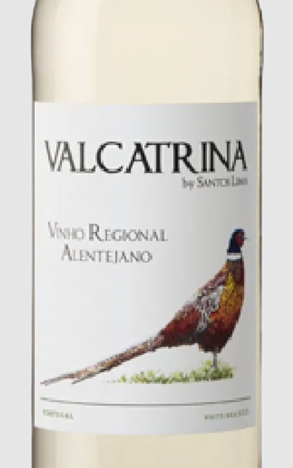 Valcatrina Branco 2023