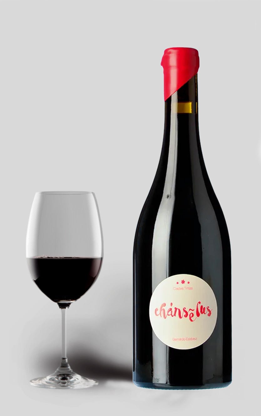 Bernardo Estévez Chánselus Castes Tinto 2017 - DH Wines