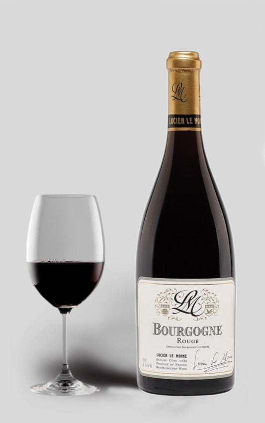 Bourgogne Rouge 2021 Lucien Le Moine - DH Wines