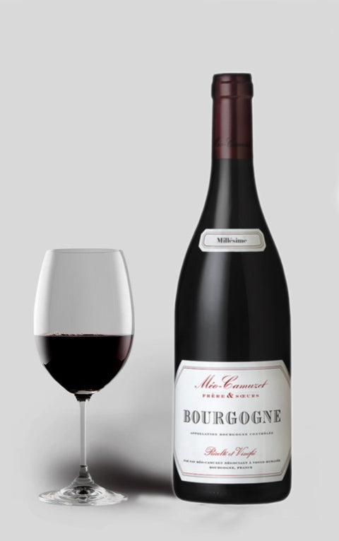 Cote D´or 2020 Cuvee Hemisphere Nord, Domaine Méo-Camuzet 2021