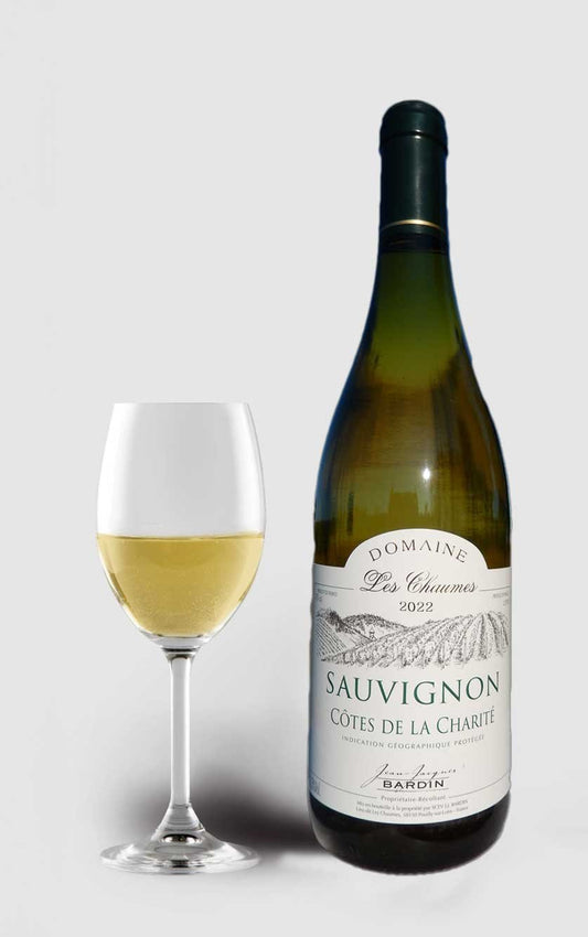 Jean Jacques Bardin Côtes de la Charite Sauvignon 2022 - DH Wines