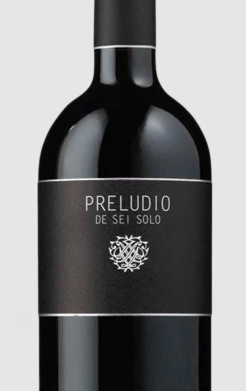 Sei Solo Preludio Ribera Del Duero 2021 - DH Wines
