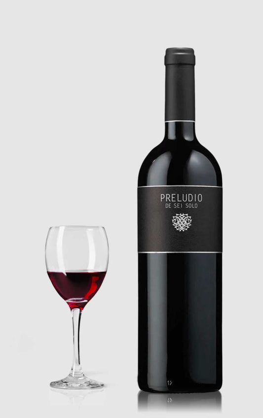 Sei Solo Preludio Ribera Del Duero 2021 - DH Wines