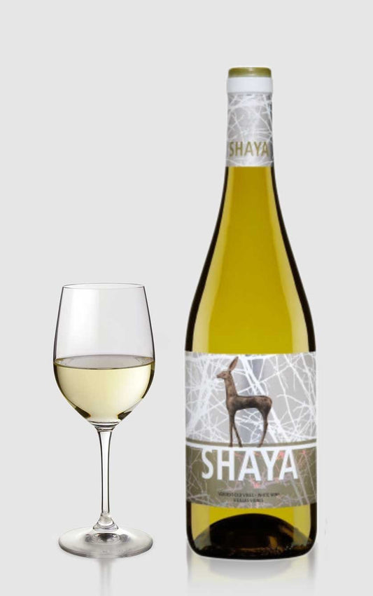 Shaya Shaya 2021 - DH Wines