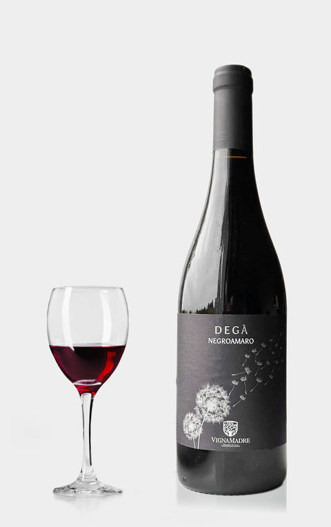 Vigna Madre Degá Negroamaro 2021