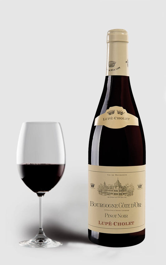 Lupe-Cholet 2018 Pinot Noir Cote Dor Bourgogne - DH Wines