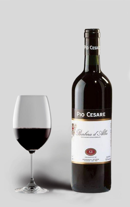 Pio Cesare Barbera d'Alba 2020 - DH Wines