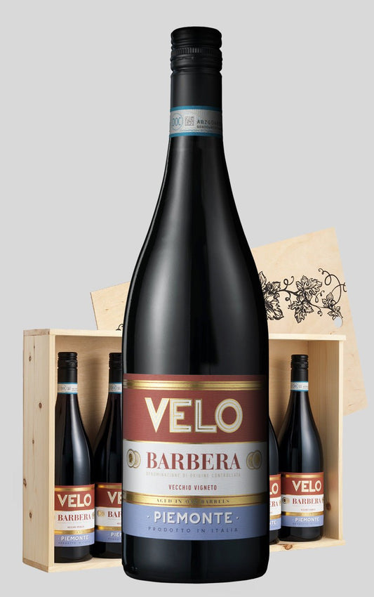 Velo Barbera Doc 2020 Piemonte - DH Wines